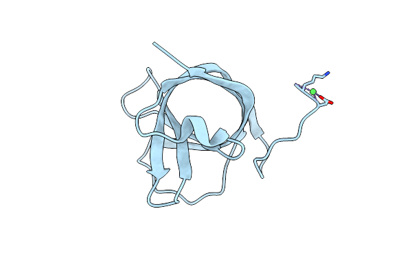 8B2M image