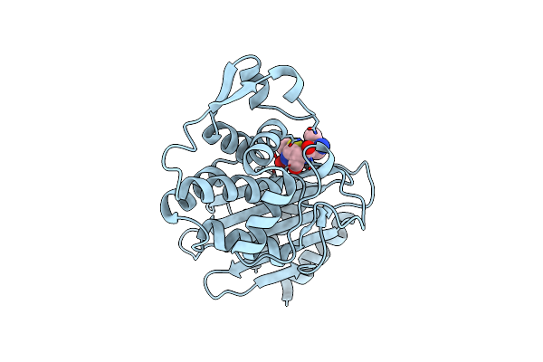 8B2O image