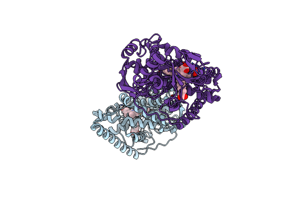 8B2P image