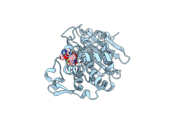 8B2V image