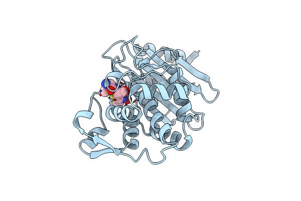 8B2W image