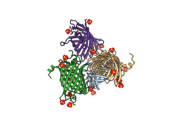 8B2Y image