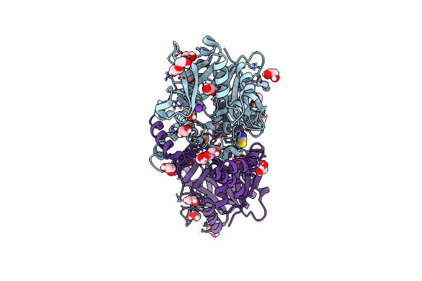 8B31 image