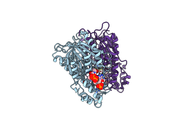 8B32 image