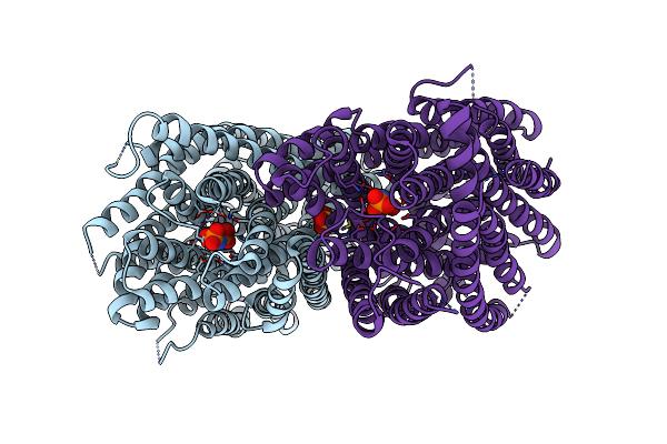 8B37 image
