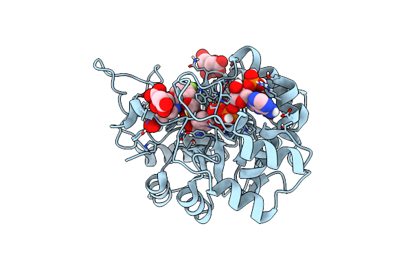 8B3R image