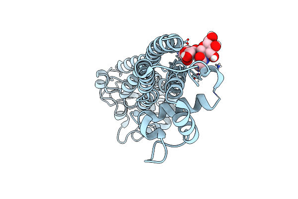 8B3W image