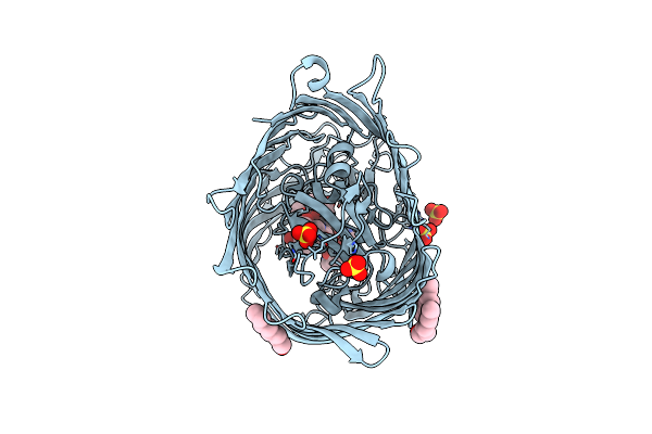 8B43 image