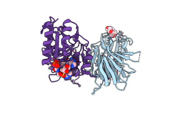 8B47 image