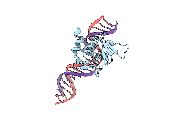 8B4C image