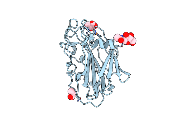 8B4G image