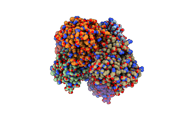 8B4L image