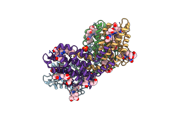 8B4N image