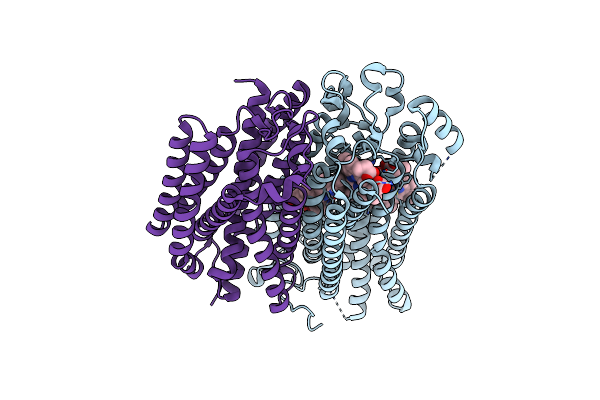8B4O image