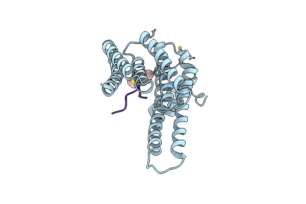 8B4Q image
