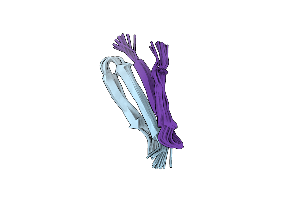8B4S image