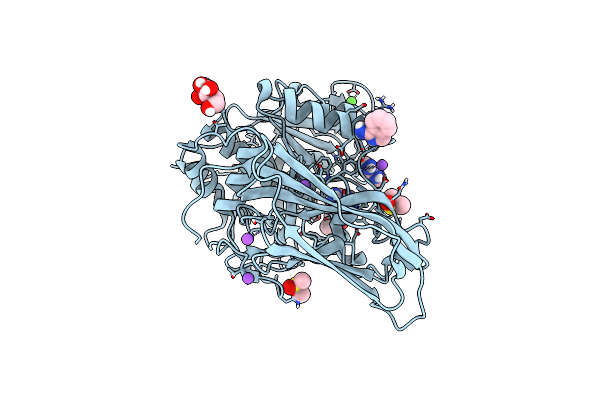 8B4W image