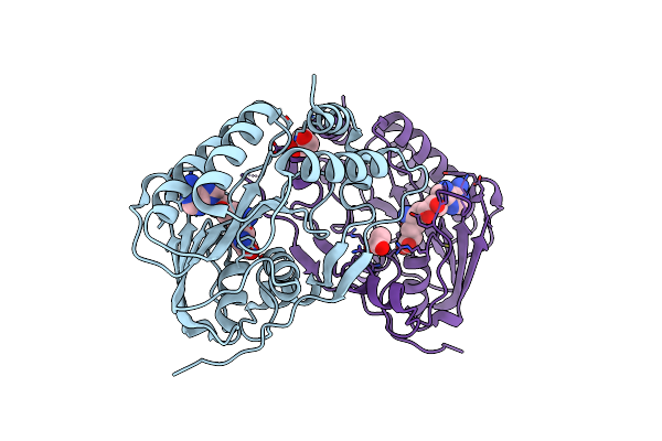 8B51 image