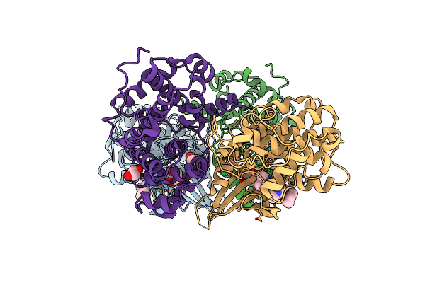 8B54 image