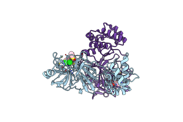 8B56 image
