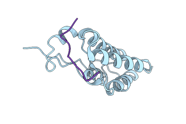 8B5C image