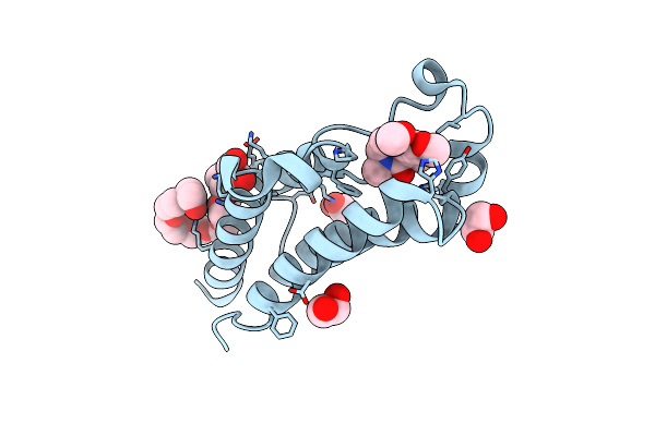 8B5I image