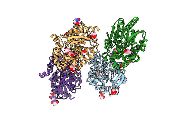 8B5K image