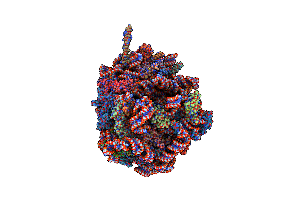 8B5L image