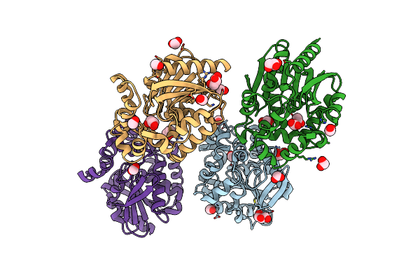 8B5O image