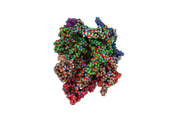8B5R image