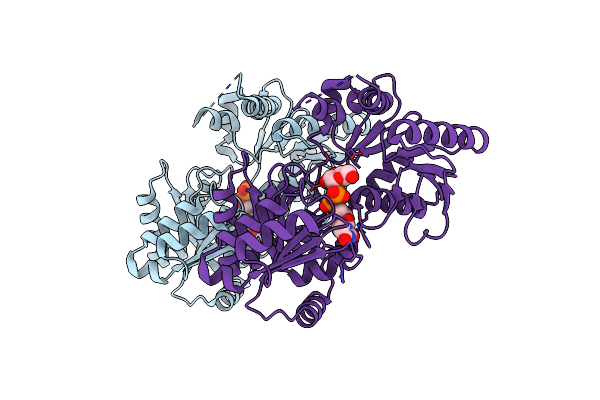 8B5S image