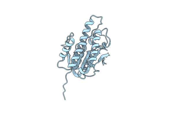8B5U image