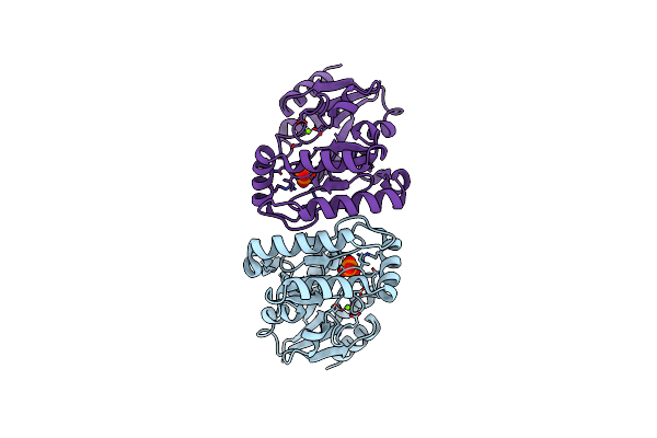 8B5V image
