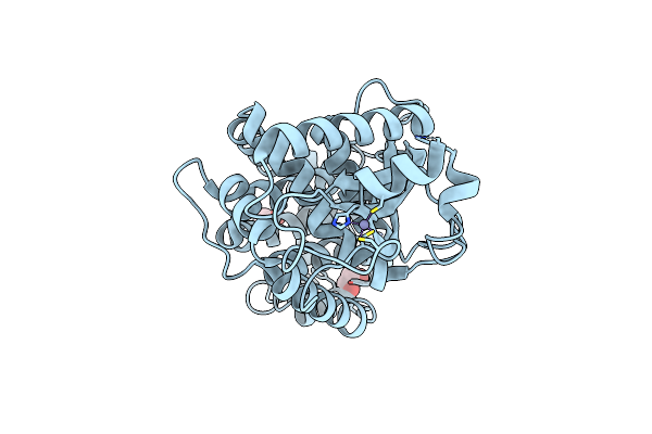 8B5W image