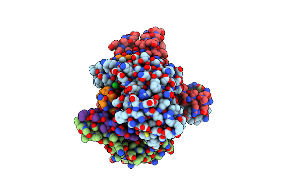 8B5X image
