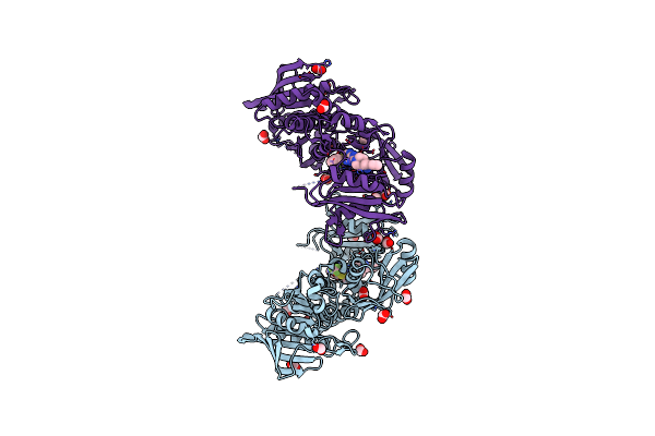 8B5Y image