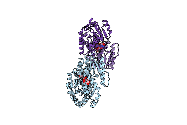 8B62 image