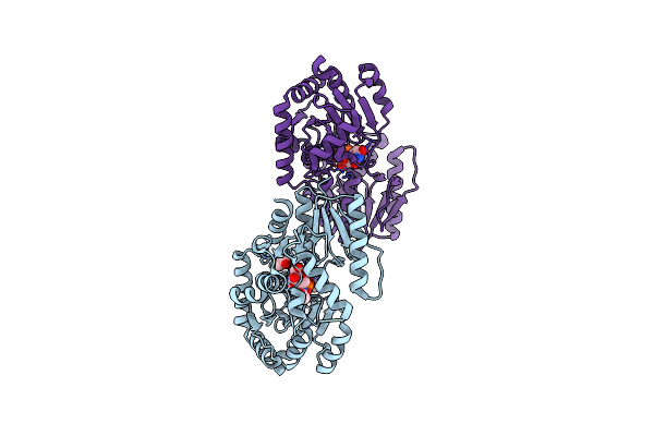8B63 image