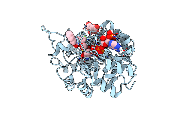 8B66 image