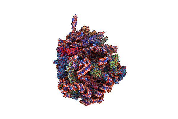 8B6C image