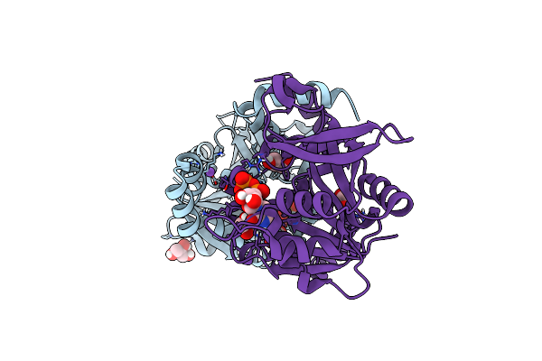 8B6D image