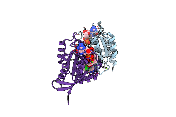 8B6I image