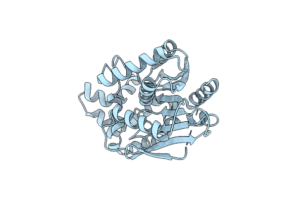 8B6O image