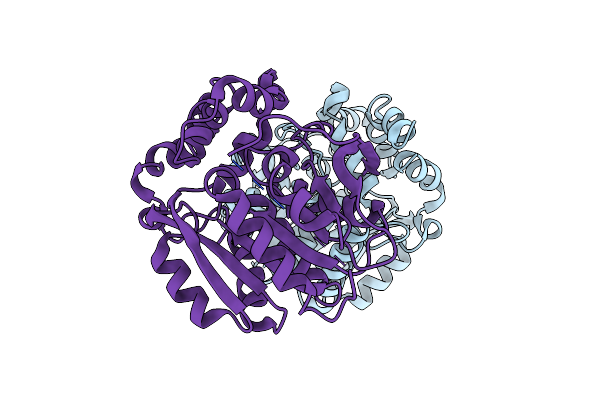 8B6P image