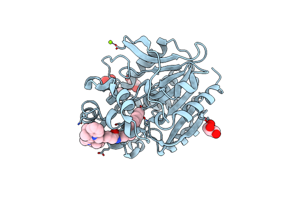 8B6R image