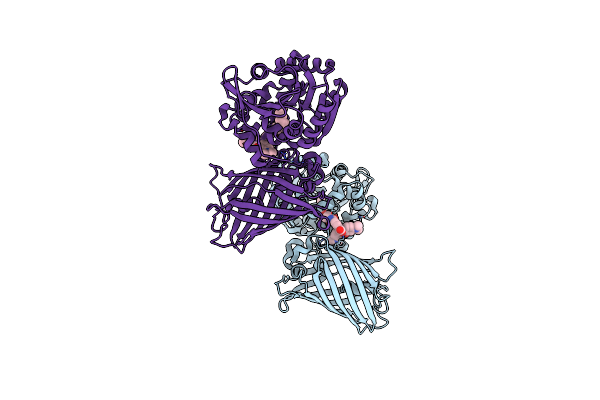 8B6T image