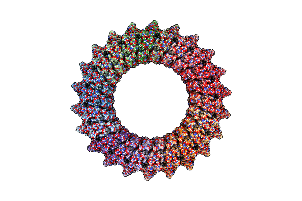 8B6V image