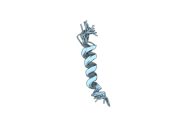 8B6X image