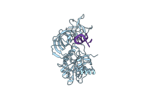 8B6Z image