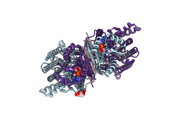 8B70 image